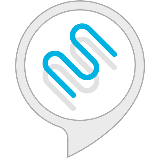 alexa-AMP Motorization